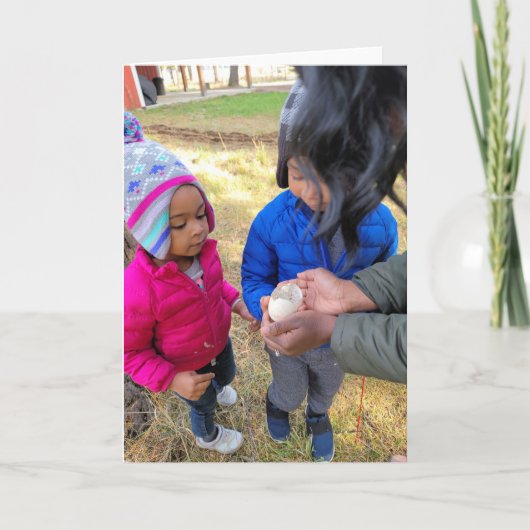 7"x5" Faltkarte | Wild Gänseeier Karte (Vorderseite)