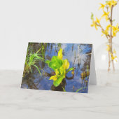 7"x5" Folgekarte Karte| Skunk Cabbage Karte (Gelbe Blume)