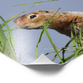 7 x 5 Kodak Berufliches Foto Papier (Satin) (Ecke)