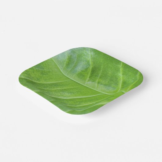 7-Zoll-Papiertafel mit bezauberndem Grün Pappteller (Gewinkelt)