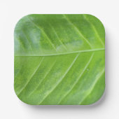 7-Zoll-Papiertafel mit bezauberndem Grün Pappteller (Vorderseite)