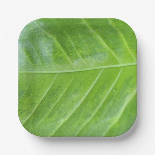 7-Zoll-Papiertafel mit bezauberndem Grün Pappteller (Vorderseite)