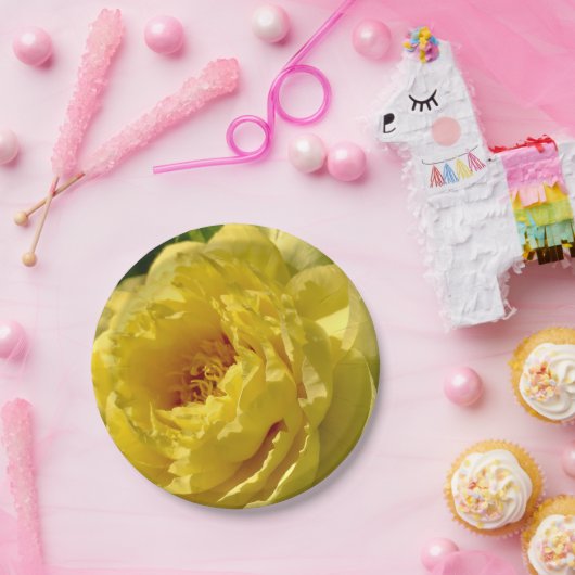 7 Zoll Teller, doppelgelbe Peony Pappteller (Party)