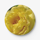 7 Zoll Teller, doppelgelbe Peony Pappteller (Vorderseite)