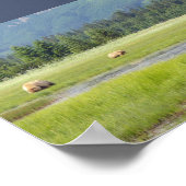 7x5 Poster (Matte) mit Grizzlybär & Bären (Ecke)