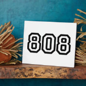 808 FOTOPLATTE (Seite)