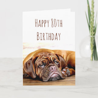 80. Geburtstag Sad Hund Bleibe Pawsitive Spaß Karte