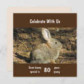 80 Jahre Junge Adorable Kaninchen Foto 80. Geburts (Vorne/Hinten)