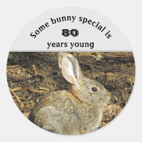 80 Jahre Junge Adorable Kaninchen Foto 80. Geburts