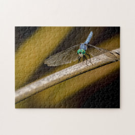8379-Blaue Libelle auf einem Schilf im Teich-Puzzl Puzzle