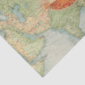 8485 Asien Systemtest Seidenpapier (Ausschnitt)