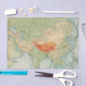 8485 Asien Systemtest Seidenpapier (Handwerk)