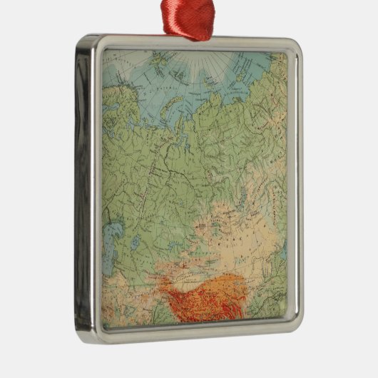 8485 Asien Systemtest Silbernes Ornament (Rechts)