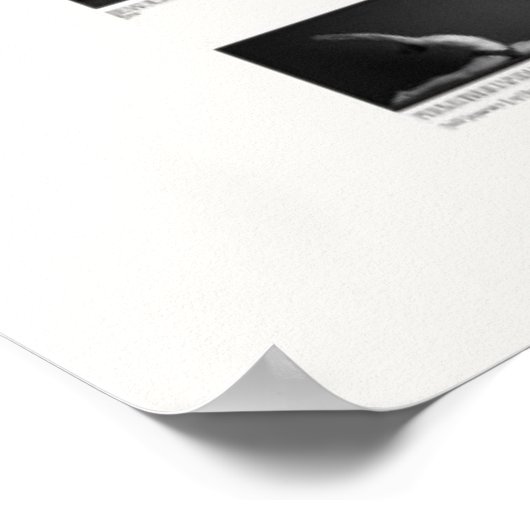 84 Asanas: Master-Kernsystem Poster (Ecke)