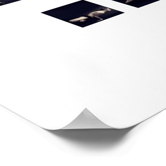 84 Asanas-Poster Poster (Ecke)