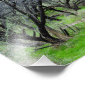 8585-Craggy Tree mit Wanderweg Fotodruck (Ecke)