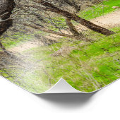 8602-Craggy Trees with Walking Path Fotodruck (Ecke)