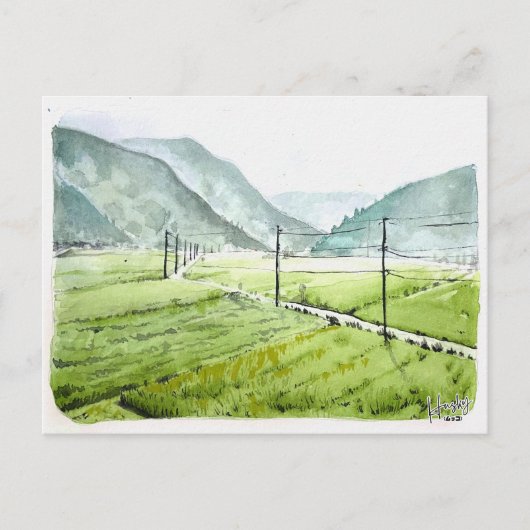 86: Morgen Reisfeld Postkarte (Vorderseite)