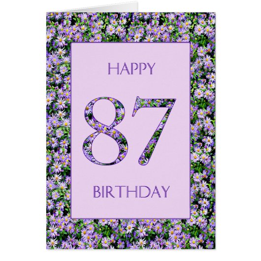87. Geburtstag Lila Daisies (Vorne)