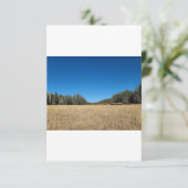 89 % $ 7,75 EINLADUNG (Stehend Vorderseite)