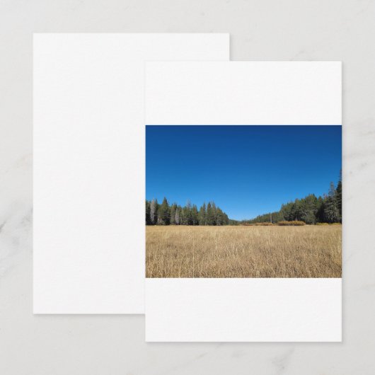 89 % $ 7,75 EINLADUNG (Vorne/Hinten)