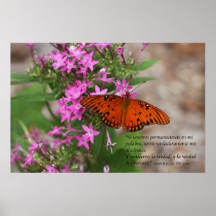 8.06.31, 32 con Mariposa Gulf Fritillary Poster