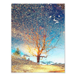 8.5 "x11"-Foto drucken | | Cherry Tree Puddle Fotodruck