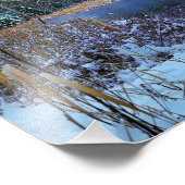 8.5 "x11"-Foto drucken | | Letztes Licht Fotodruck (Ecke)