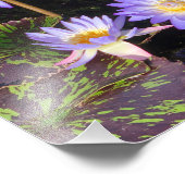 8,5"x11" Wasserilien Fotodruck (Ecke)