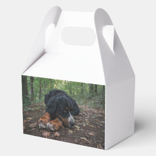 8,5 x 11 in 1,29 geschenkschachtel