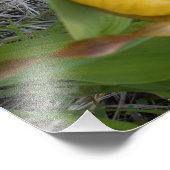 8.5x11 Foto drucken (Ecke)