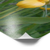 8.5x11 Foto drucken (Ecke)