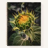 8.5x11-Notebook Notizblock (Vorderseite)