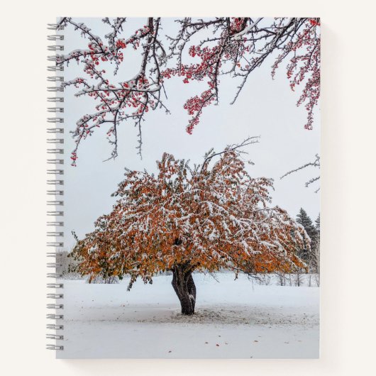 8.5x11-Notebook Notizblock (Vorderseite)