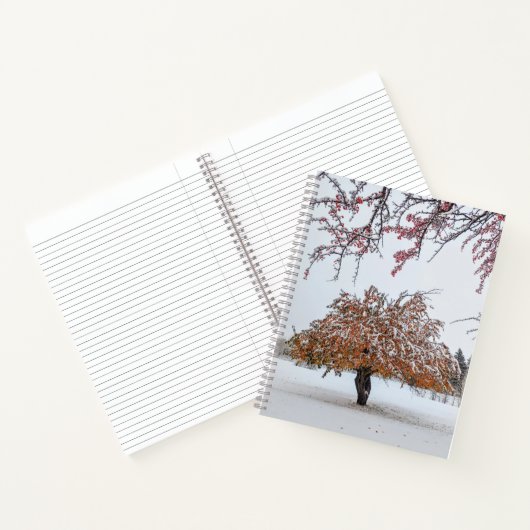 8.5x11-Notebook Notizblock (Innenseite)