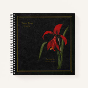 8,5x8,5" Amaryllis oder Lis de St Jacques Blac Sch Notizblock