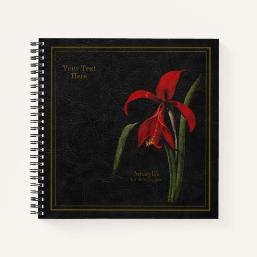 8,5x8,5" Amaryllis oder Lis de St Jacques Blac Sch Notizblock (Vorderseite)