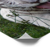 8.5x8.5 Poster/Druckvorlage Poster (Ecke)