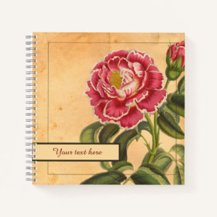 8,5x8,5" Rose de Provence Notebook Notizblock