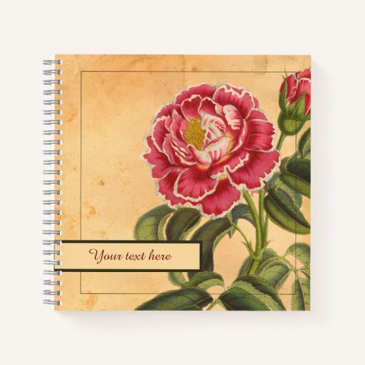 8,5x8,5" Rose de Provence Notebook Notizblock (Vorderseite)