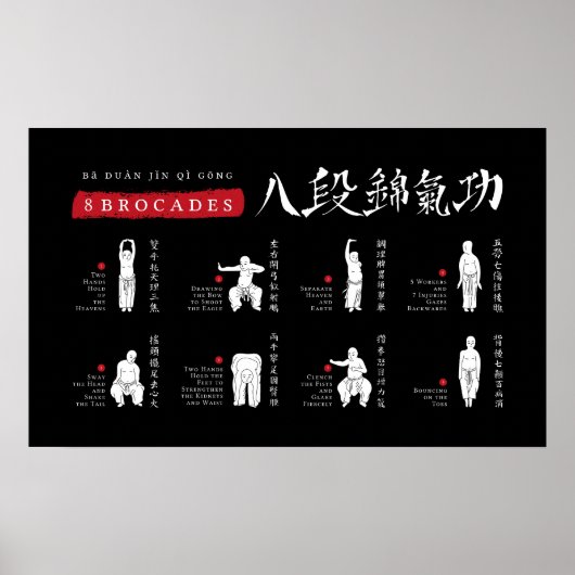 8 Brocades Ba Duan Jin QiGong Poster (Vorne)