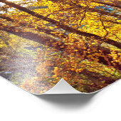 8 by 10 my view fotodruck (Ecke)