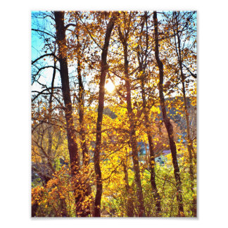 8 by 10 my view fotodruck