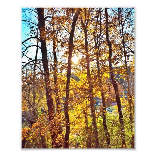 8 by 10 my view fotodruck (Vorne)