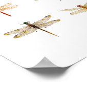 8 Dragonfly-Arten Poster (Ecke)