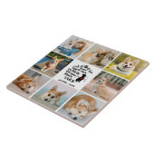 8 Erinnerung an den Verlust des Hundes in Fotocoll Fliese (Seite)