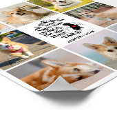 8 Erinnerung an den Verlust des Hundes in Fotocoll Poster (Ecke)