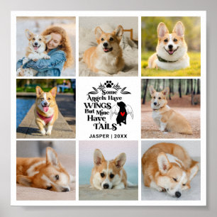 8 Erinnerung an den Verlust des Hundes in Fotocoll Poster