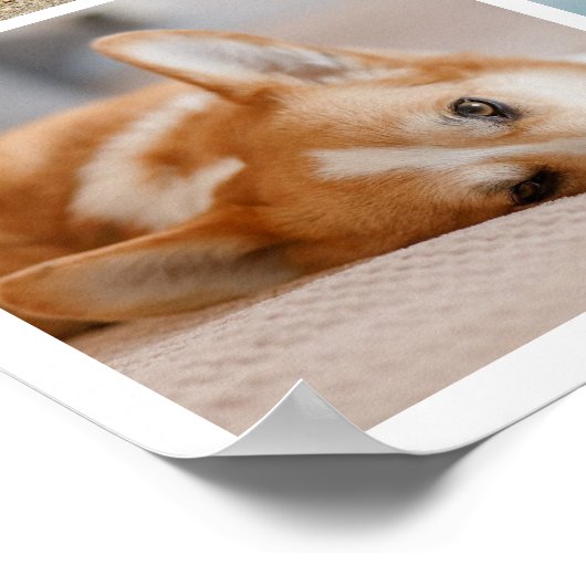 8 Erinnerung an die Fotocollage Poster (Ecke)