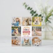 8 Foto Collage Pet Ich glaube an Santa Paw Card (Stehend Vorderseite)